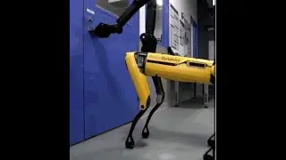 Singapore's Robot Dog promoting safe distancing in Singapore's parks