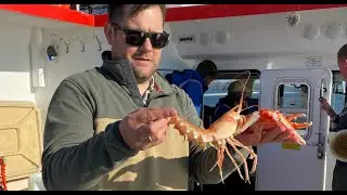 Trøndelag Coast - a mecca for shellfish