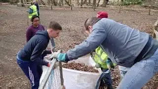 Volunteers Uncover a Bluebell Glade at Fleet Pond Local Nature Reserve