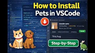customizing vs code by pets