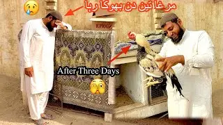 Jawa Murga Three Days Bhoka Rha 😢 After Three Days Dekha 🫣