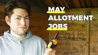May Allotment Jobs - Tackling the Dreaded Gooseberry Bush! (UK Garden Diary 2019)