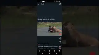 man Attached by Lion 😱😱 #shorts #attacked #lion