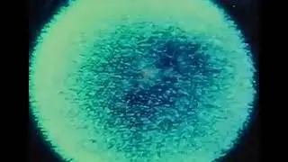 Whatitdo Archive Group - Astral-Desia (Teaser)