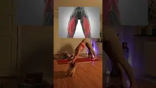 Yoga for hamstrings #hamstrings  #yoga #yogaforbackpain #yogateacher #healingyoga #yogaforbeginners