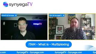 ITAM - What is - Multiplexing