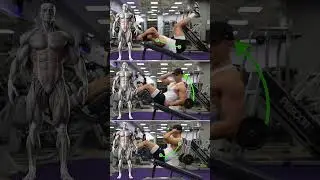 Abs Exercise Variations (KNOW THE DIFFERENCE!)
