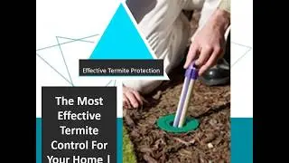 Sentricon Termite Control Deal NJ 2020 732-504-3758 Ozane.com