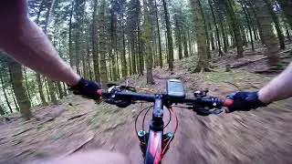 MTB Winterberg: Red Trail