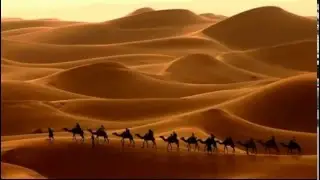 ورد الهوى - رُبا الجمال / فهد يكن