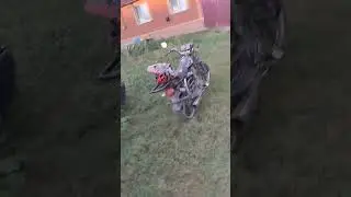 а&уеный вид #альфа