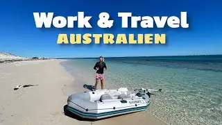 HAI oder DELFIN?🦈🐬 Boot kaufen, Schnorcheln, surfen, sunset Paddelboarden Living the dream in AUS🇦🇺