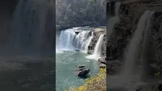 Luke & Steven Visit Little River Canyon Falls 🌿 #shorts