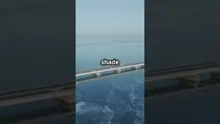Florida 7 Mile Bridge #florida #youtubeshorts