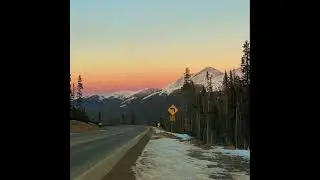 (free) indie folk + acoustic type beat 