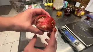 Tomato Taste Test - Cherokee Carbon