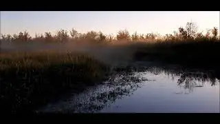 Mobile-Tensaw Delta sunrise