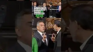 Politicians push and shove each other in Mexico Senate