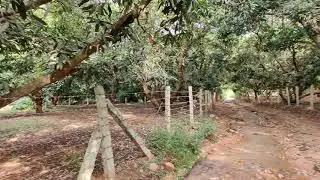 Moolakona waterfalls way