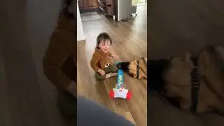 Just a rainy spring sunday over here_🌦️ #babiesanddogs #dog #bestfriends