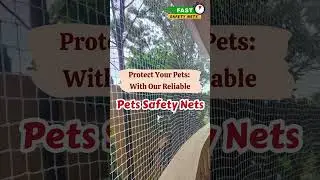 Protect Your Pets: Balcony Pet Net Installation in Chennai with Fast Safety Nets  #fastsafetynets