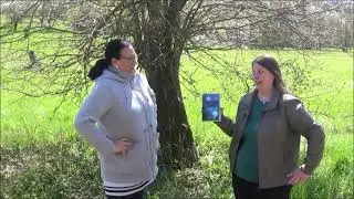 Devils Lake - Die Hoffnung stirbt zuletzt, Werbung mal anders. :-D