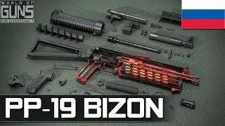 PP-19 