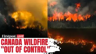 LIVE: Canada Wildfires Force Evacuations | Smoke Triggers US Air Emergency Alerts