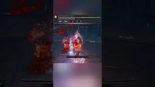 No Golden Parry on Medium Shield #eldenring #rellana #shadowoftheerdtree