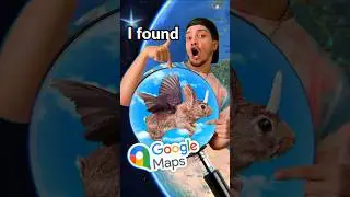 🤯I found fly rabbit📍Geo at the end #googleearth #googlemaps #googlestreetview #shorts