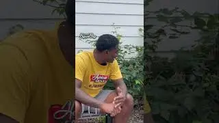 Master Blackberry Pruning  Trim Primo Canes Like a Pro