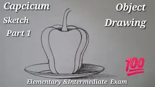 How To Draw Capcicum | सिमला मिरची  चित्र | Capcicum Drawing Wih Dish | Drawing Tutorial | Sketch |