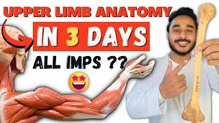 Upper Limb In 3 Days | All Important Topics Of Upper Limb Anatomy | upper limb important topics