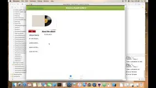 IOS coding Assignment sample- video details presentation