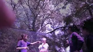 Trampling party