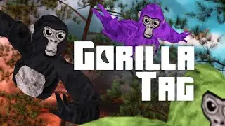 gorilla tag code: HUGHSTER