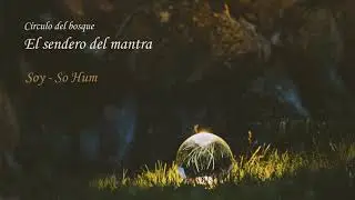 Círculo del bosque / Soy - So hum