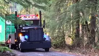 MEAN Peterbilt 359 Cummins 903 v8 container pull