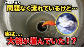 これが内視鏡の重要性！この高圧洗浄、本当に普通に流れるようになった！？配管の中に大物が？【花のお掃除 #432】