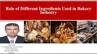 Role of Different Ingredients Used in Bakery Industry