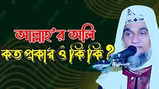 আল্লাহর ওলি কত প্রকার ও কে কেমন ওলি || শায়খ আল্লামা হাবিবুল্লাহ বেলালী আল ক্বাদেরী