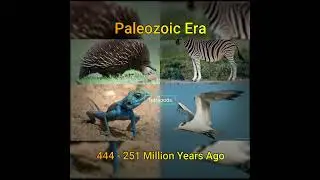 Paleozoic Era | Evolution of Mammals | History of Earth | #shorts #honeysharma