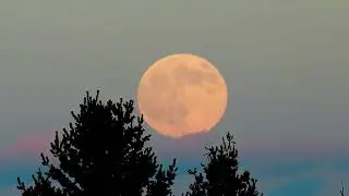 Full Buck Moon Rising