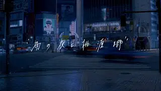ALBATROSS / 雨の夜と桃源郷 (Official Music Video)