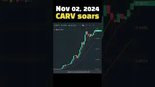 #TodaySoaring Nov 02, 2024 CARV soars