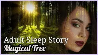 Bedtime Stories For Grown Ups Female Voice