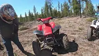 Quad Day For The Boys