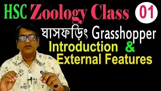 HSC | Grasshopper | ঘাস ফড়িং | Introduction | External Features | Part 01 | Zoology Tutorial Class