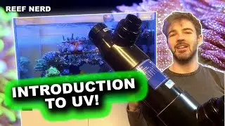 Знакомьтесь с УФ-стерилизатором Pentair Smart!