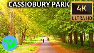 Cassiobury Park 4k Walk- UK's Best Park?